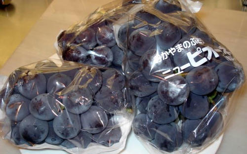 岡山の葡萄、種無しピオーネ